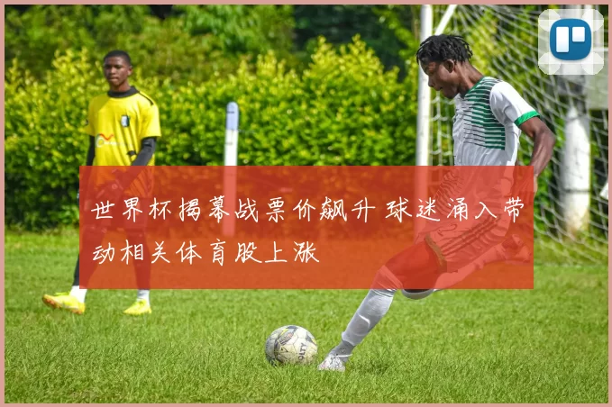 世界杯揭幕战票价飙升 球迷涌入带动相关体育股上涨